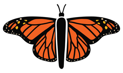 Monarch Butterfly Illustration | Overhead Diagram and Closeup View of a Butterfly | Mariposa Silhouette | Winged Insect Outline