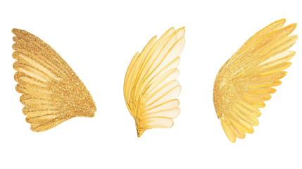 Golden Decorative Wings on White Background Generative AI