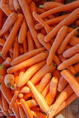 fresh carrots on the market