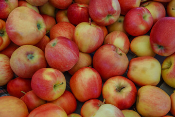 Ripe red apples at farmer market. Natural red backdrop