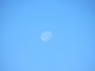 moon in the sky