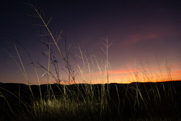 sunset over the field