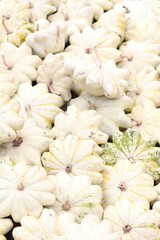 close-up of pile of white squash arranged in random overlapping pattern, top view. autumn seasonal harvest and abundance, farm-to-table, farm-fresh produce, healthy eating, organic farming concept.