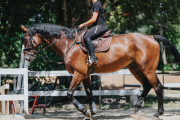 Young person riding a brown horse in an outdoor equestrian training area, showcasing skill and...