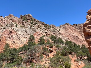 Fototapeta premium Colorado Red rocks