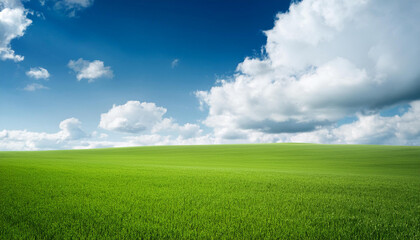 Obraz premium Green field under blue clouds sky.