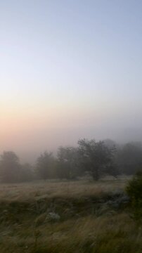 Summer landscape in the mountains , foggy morning , fog over the forest . Red sunrise in woodlands with hills and trees .Green flora . Nature video , sinrise over the mountains . Field with grass