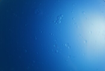 Fototapeta premium Una toma de cerca de una fondo abstracto de color azul con burbujas de diferentes tamaños