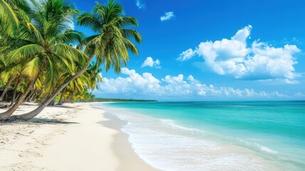Tropical beach paradise with palm trees and turquoise sea under a bright blue sky.