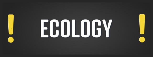 Ecology. A blackboard with white text. Illustration with grunge text style.