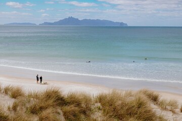 Sandunes, tussock grass and calm ocean surf of Mangawhai Heads Beach, Mangawhai, Northland, New...