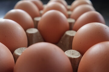 Una toma de cerca de varios huevos fresco de gallina para comer colocado en un cartón.