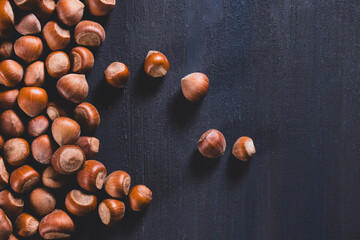 Raw hazelnuts in a stone mortar against a dark background