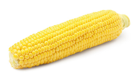 One fresh ripe corncob isolated on white