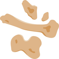 Bone fossil © Abdur