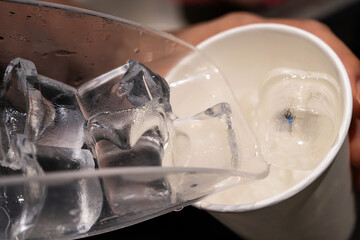 pouring ice cubes into the paper cup