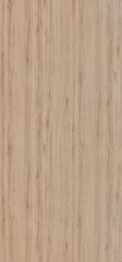 Fototapeta premium wood Texture