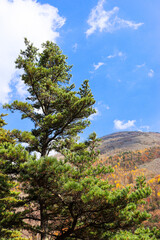 Hiking in the mountains. Rest in the mountains. Tourism and hiking.