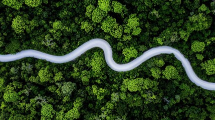 Aerial view of a winding road through dense green forest