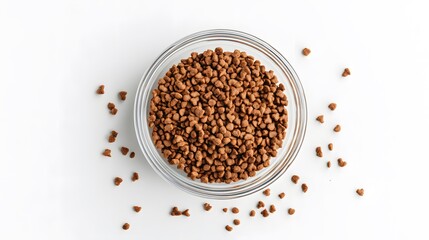 bowl full and overflowing with dry pet