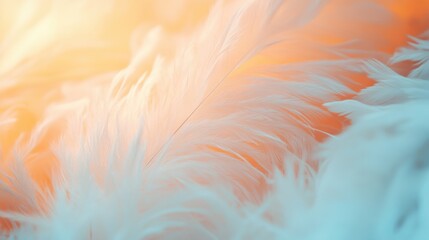 Delicate white feathers catch soft light, casting a soothing glow and evoking a sense of calm and serenity in the natural world
