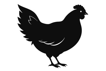 
Hen silhouette vector, Chicken hen silhouette isolated on white background