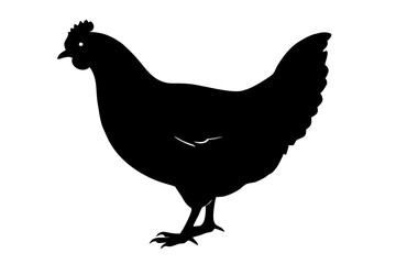 
Hen silhouette vector, Chicken hen silhouette isolated on white background