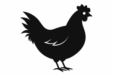 
Hen silhouette vector, Chicken hen silhouette isolated on white background