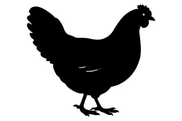 
Hen silhouette vector, Chicken hen silhouette isolated on white background