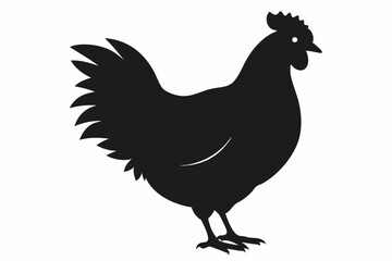 
Hen silhouette vector, Chicken hen silhouette isolated on white background