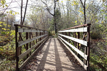 Foot bridge in wood in a forest. Hiking and outdoor in autumn. Autumn activities and walking in forest. outdoor landscaping in a wood. Autumn or fall background.