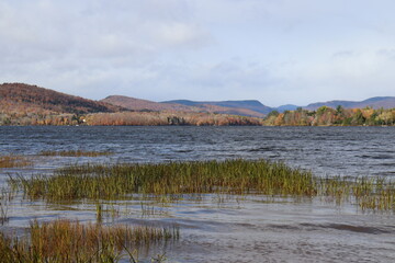 A lake with swamp. Environment and ecology. The biodiversity in a lake in autumn. Autumn background. St-Charles lake in autumn, in Quebec. Outdoor and nature. Natural environment and preservation.