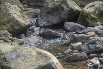 Small stream in the river