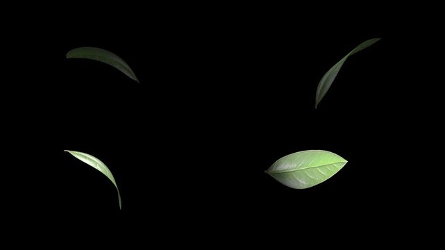 Falling 3D green leaves. Isolated green. overlay. Natural leaves animation. alpha channel group
