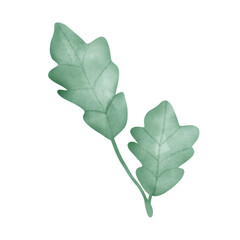 green oak leaves,Oak leaves natural logotype isolated on white background