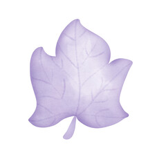 drawing  with purple leaves,hand drawn illustration