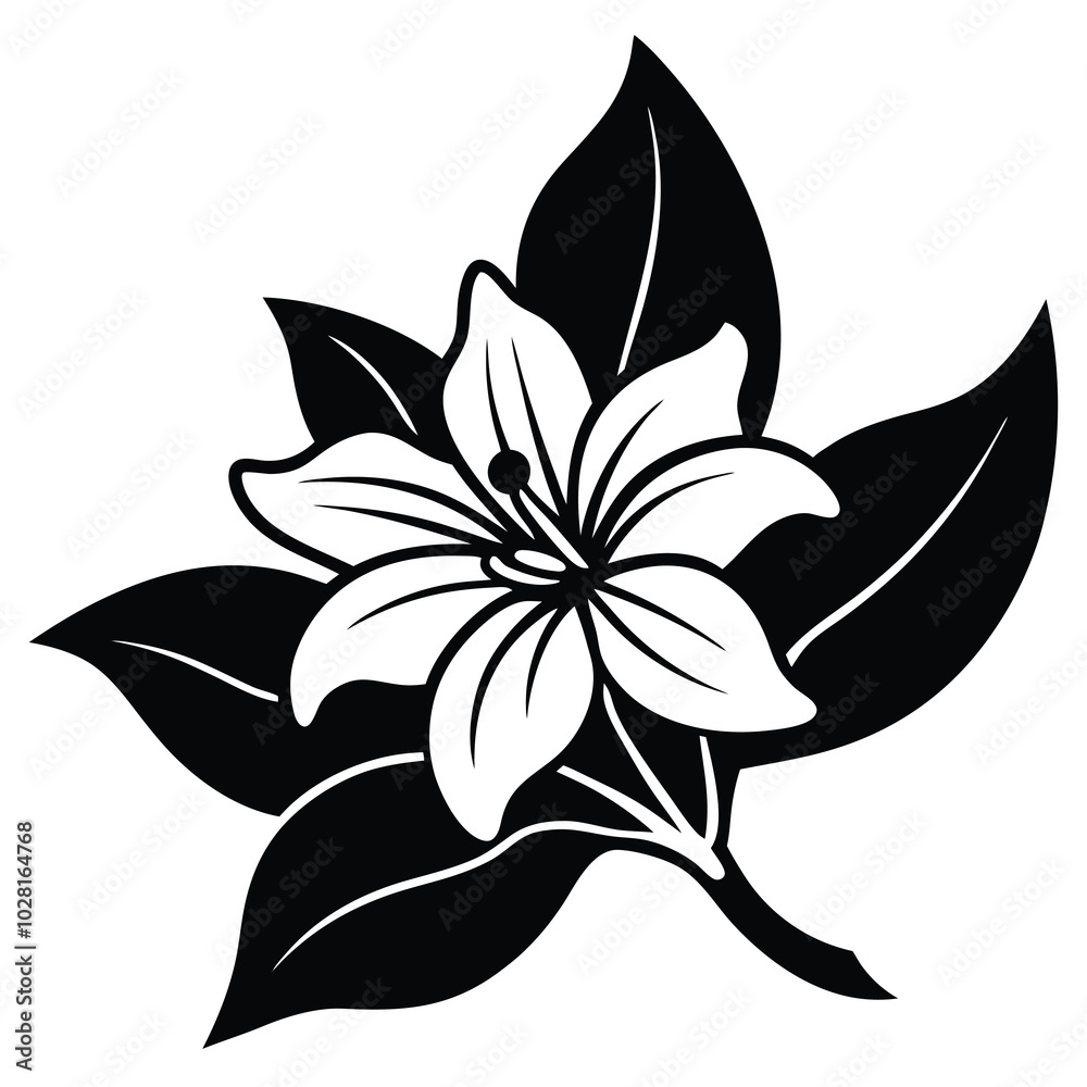 Wall mural Jasmine Flower Vector Line Art.