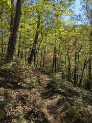 Overview of Cold Spring and Hudson Highlands State Park in Fall, New York - October 2024