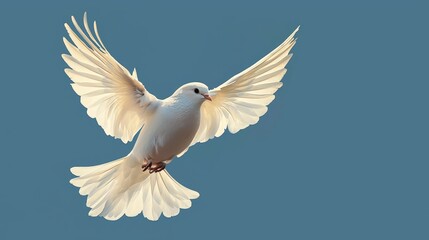 Elegant Minimalist Bird in Flight with Spread Wings