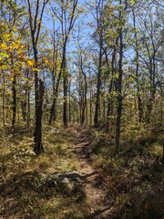 Obraz premium Overview of Cold Spring and Hudson Highlands State Park in Fall, New York - October 2024