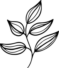 hand drawn plant leaves branch outline vintage style illustration