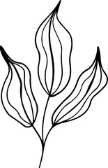 hand drawn plant leaves branch outline vintage style illustration