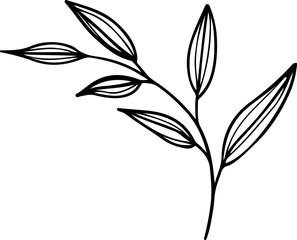 hand drawn plant leaves branch outline vintage style illustration