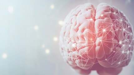 Close-up of human brain with intricate neural pathways, symbolizing cognitive biases and complex thought processes, ideal for educational or scientific presentations.