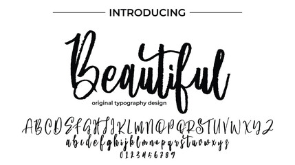 Beautiful Font Stylish brush painted an uppercase vector letters, alphabet, typeface