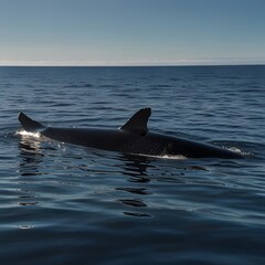 Fototapeta premium Humpback whale in the sea at sunset. 3d render Generated by AI