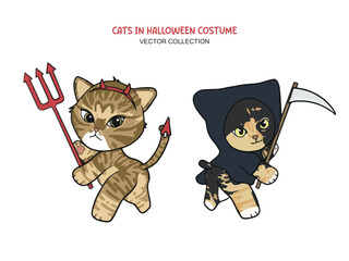 Cat_Halloween