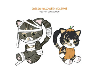 Cat_Halloween