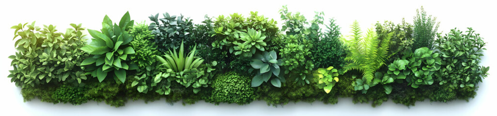 Lush Green Wall of Plants.