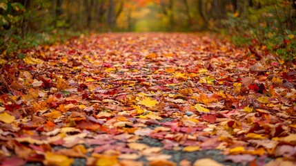A Path Covered in Vibrant Autumn Leaves